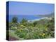 Laguna Beach, California, USA-Geoff Renner-Premier Image Canvas