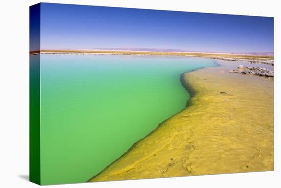 Laguna Cejar (Floating Salt Lake Lagoon), Atacama Desert, North Chile, Chile, South America-Matthew Williams-Ellis-Premier Image Canvas