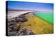 Laguna Cejar (Floating Salt Lake Lagoon), Atacama Desert, North Chile, Chile, South America-Matthew Williams-Ellis-Premier Image Canvas