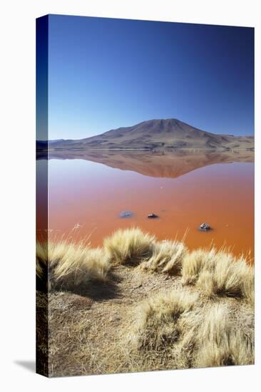 Laguna Colorada on the Altiplano, Potosi Department, Bolivia, South America-Ian Trower-Premier Image Canvas