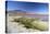 Laguna Colorada on the Altiplano, Potosi Department, Bolivia, South America-Ian Trower-Premier Image Canvas