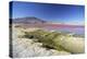 Laguna Colorada on the Altiplano, Potosi Department, Bolivia, South America-Ian Trower-Premier Image Canvas