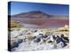 Laguna Colorada on the Altiplano, Potosi Department, Bolivia-Ian Trower-Premier Image Canvas