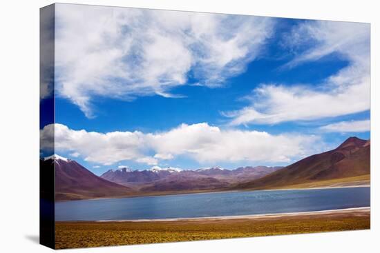 Laguna Miscanti, San Pedro de Atacama, Antofagasta Region, Chile.-Keren Su-Premier Image Canvas