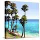 Laguna Palms 1-Alex Hanson-Stretched Canvas