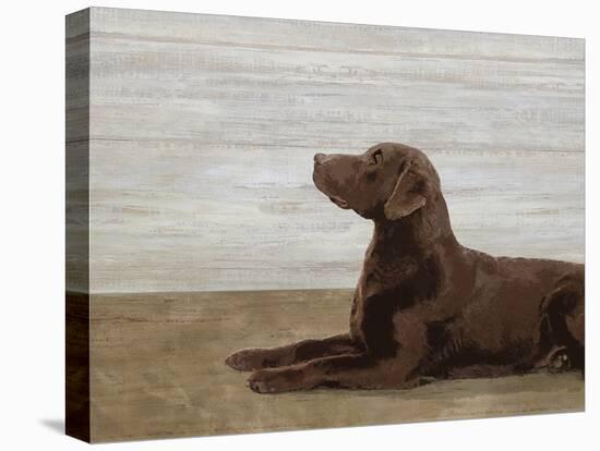 Laid Back Labrador-Mark Chandon-Stretched Canvas