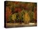 Lake and Boat with Fall Forest in Early Morning, New Hampshire, USA-Charles Sleicher-Premier Image Canvas
