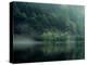 Lake and Forest-null-Premier Image Canvas