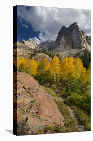 Lake Blanche Trail in Fall Foliage, Sundial Peak, Utah-Howie Garber-Premier Image Canvas