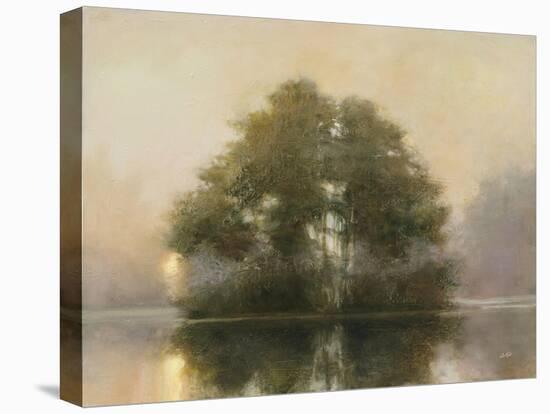 Lake Dawn-Julia Purinton-Stretched Canvas