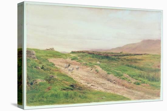 Lake District-Cuthbert Rigby-Premier Image Canvas