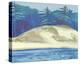 Lake Dunes-Cathe Hendrick-Stretched Canvas