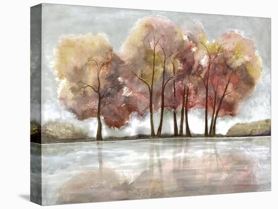 Lake Foliage-Doris Charest-Stretched Canvas