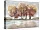 Lake Foliage-Doris Charest-Stretched Canvas