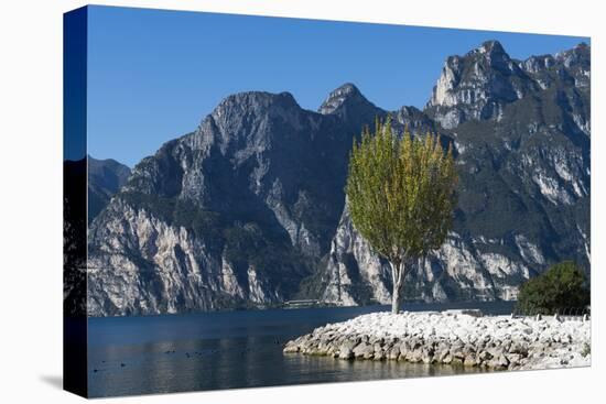 Lake Garda, Torbole, Beach, Trentino, Italy, Mountain Lake, Holiday Region, Relaxing, Vacation-Frank Fleischmann-Premier Image Canvas