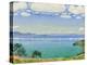 Lake Geneva Seen from Chexbres, 1905-Ferdinand Hodler-Premier Image Canvas