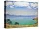 Lake Geneva, Seen from Chexbres, 1905-Ferdinand Hodler-Premier Image Canvas