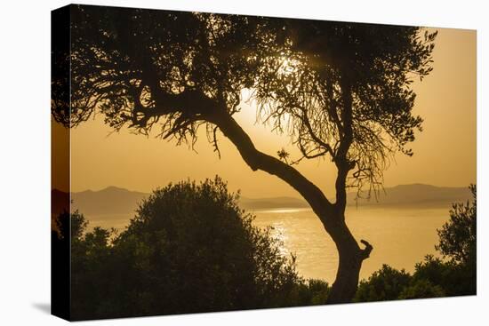 Lake Ichkeul, National Park of Ichkeul, Bizerte Province, Tunisia, North Africa-Nico Tondini-Premier Image Canvas