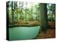 Lake in a Wood-null-Premier Image Canvas