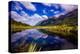 Lake in Milford Sound, Fjordlands National Park, UNESCO World Heritage Site-Laura Grier-Premier Image Canvas