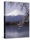 Lake Kawaguchi, Mount Fuji, Japan-null-Premier Image Canvas