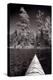 Lake Kayaking BW-Steve Gadomski-Premier Image Canvas