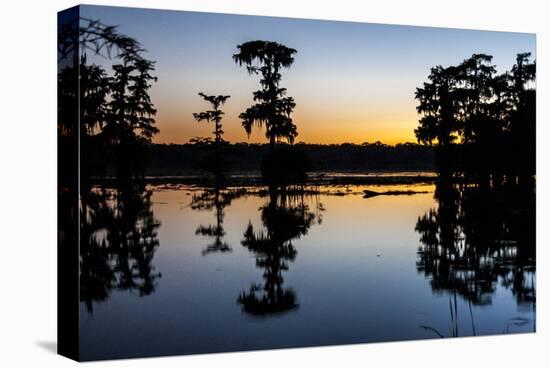 Lake Martin at Sunset with Bald Cypress Sihouette, Louisiana, USA-Alison Jones-Premier Image Canvas