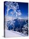 Lake Mashu in Winter-null-Premier Image Canvas