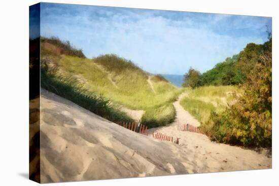 Lake Michigan Coastal Dune Path-Michelle Calkins-Stretched Canvas