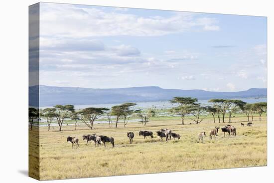 Lake Naivasha and Crescent Island Game Park, Naivasha, Kenya-Martin Zwick-Premier Image Canvas