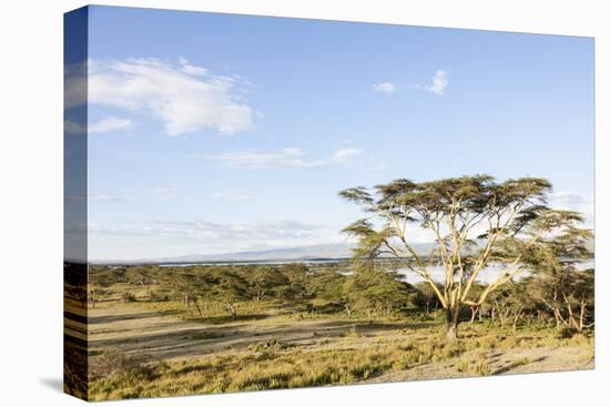 Lake Naivasha and Crescent Island Game Park, Naivasha, Kenya-Martin Zwick-Premier Image Canvas