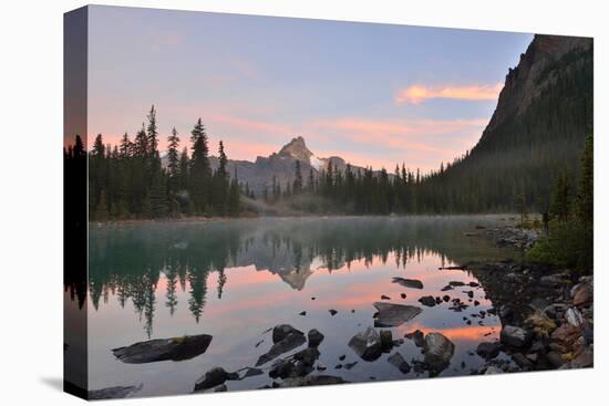 Lake O'hara and Cathedral Mountain at Sunrise, Yoho National Park, Canada-Lijuan Guo-Premier Image Canvas