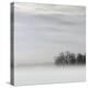 Lake of Fog-Nicholas Bell-Premier Image Canvas