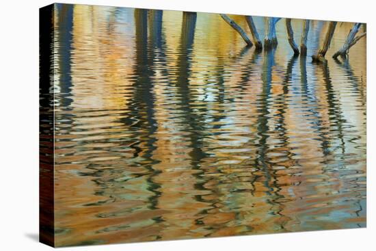 Lake Powell Reflections I-Kathy Mahan-Premier Image Canvas