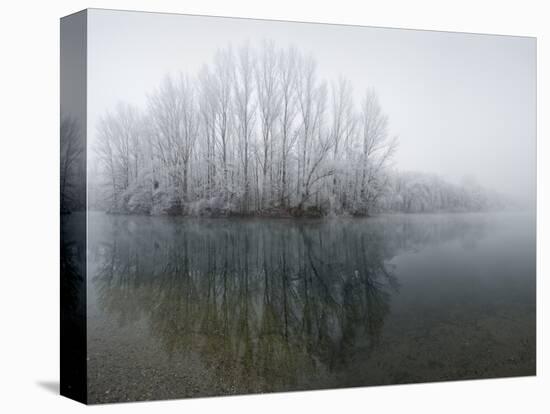 Lake, Shore, Wood, Water Surface, Reflexion, Hoarfrost, Winter-Roland T.-Premier Image Canvas