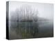 Lake, Shore, Wood, Water Surface, Reflexion, Hoarfrost, Winter-Roland T.-Premier Image Canvas