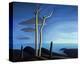 Lake Superior-Lawren S^ Harris-Stretched Canvas