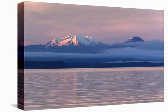 Lake Taupo with Mount Ruapehu and Mount Ngauruhoe at Dawn-Stuart-Premier Image Canvas