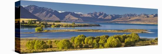 Lake Tekapo, Canterbury, South Island, New Zealand-Rainer Mirau-Premier Image Canvas