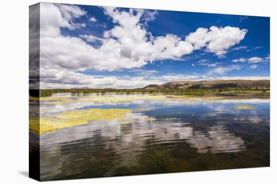 Lake Titicaca, Puno Region, Peru, South America-Matthew Williams-Ellis-Premier Image Canvas
