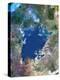 Lake Victoria, Satellite Image-PLANETOBSERVER-Premier Image Canvas