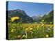 Lake Vilsalpsee, Tannheim Valley, Austria-Katja Kreder-Premier Image Canvas