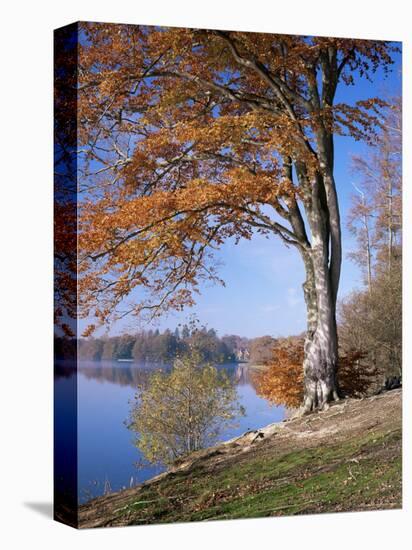 Lake, Virginia Water, Windsor Great Park, Berkshire, England, United Kingdom-Roy Rainford-Premier Image Canvas