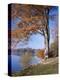 Lake, Virginia Water, Windsor Great Park, Berkshire, England, United Kingdom-Roy Rainford-Premier Image Canvas