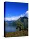 Lake Wakatipu and Mount Hector-Leslie Richard Jacobs-Premier Image Canvas