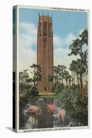 Lake Wales, FL - View of Singing Tower & Flamingos-Lantern Press-Stretched Canvas