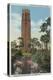 Lake Wales, FL - View of Singing Tower & Flamingos-Lantern Press-Stretched Canvas