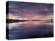 Lake Yellowstone, Yellowstone National Park, Wyoming, USA-Art Wolfe-Premier Image Canvas