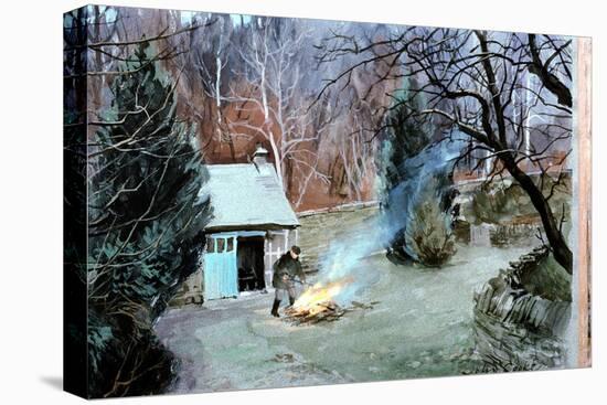Lakeland Bonfire, 1996-John Cooke-Premier Image Canvas