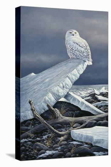 Lakeshore Ice-Wilhelm Goebel-Premier Image Canvas